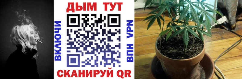 Виды наркотиков купить Верхняя Тура COCAIN  Меф  Лсд 25  АМФ  Канабис  Гашиш 