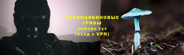 стафф Володарск