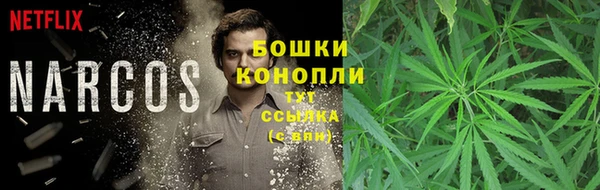 стафф Володарск