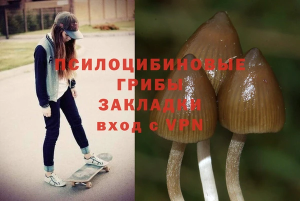 стафф Володарск