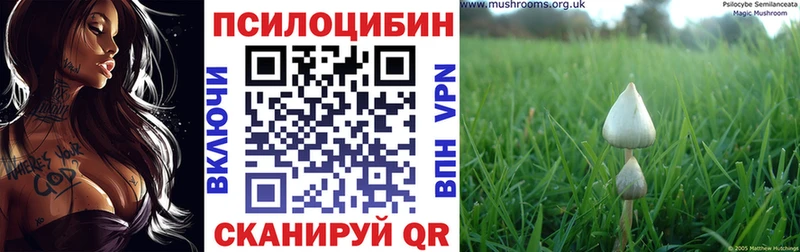 Псилоцибиновые грибы Cubensis  где найти наркотики  Верхняя Тура 